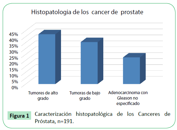 archivosdemedicina-los-Canceres