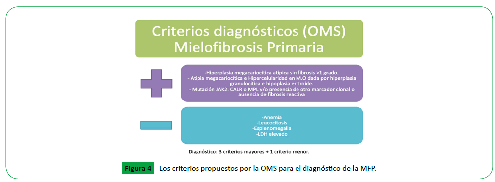 archivosdemedicina-los-criterios-propuestos