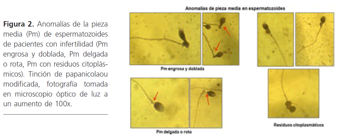 archivosdemedicina-pacientes-con