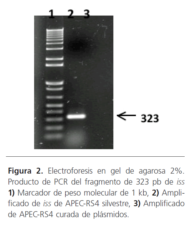 archivosdemedicina-peso-molecular