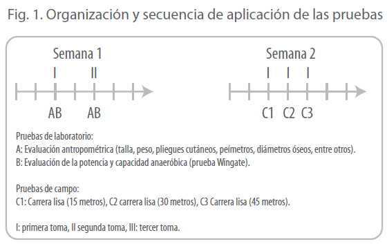 archivosdemedicina-pruebas