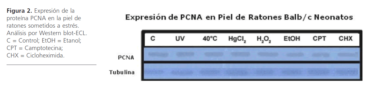 archivosdemedicina-ratones-sometidos