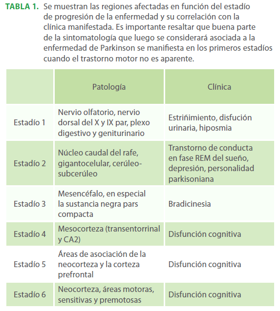 archivosdemedicina-regiones-afectadas