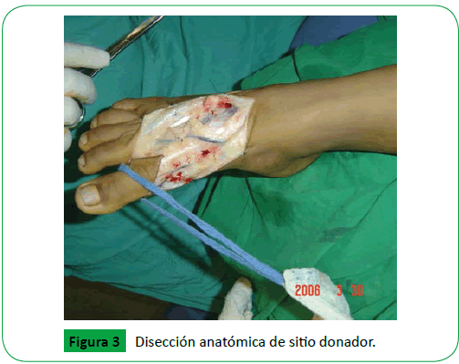 archivosdemedicina-sitio-donador