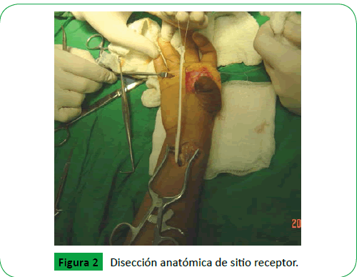 archivosdemedicina-sitio-receptor