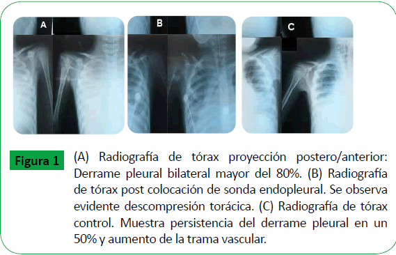 archivosdemedicina-trama-vascular