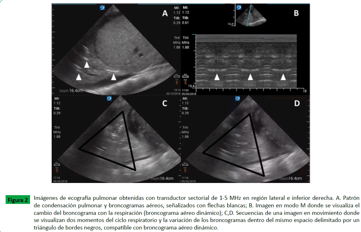 archivosdemedicina-transductor-sectorial