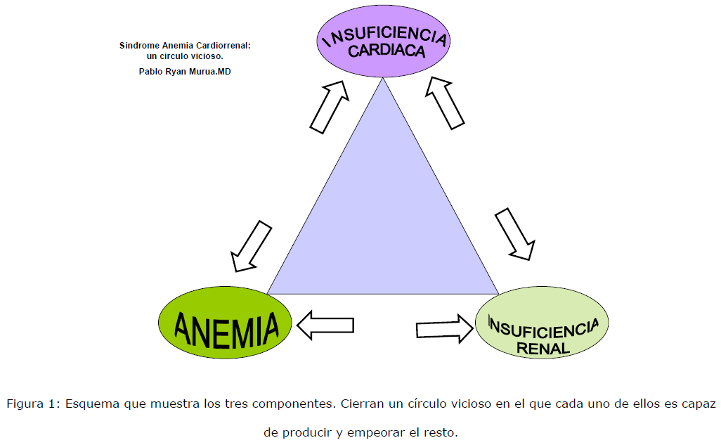 archivosdemedicina-tres-componentes