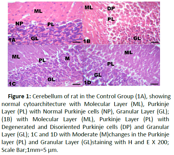 biomedical-science