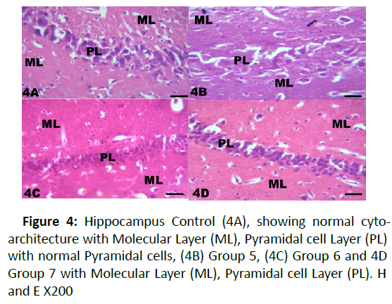 biomedical-science-Molecular