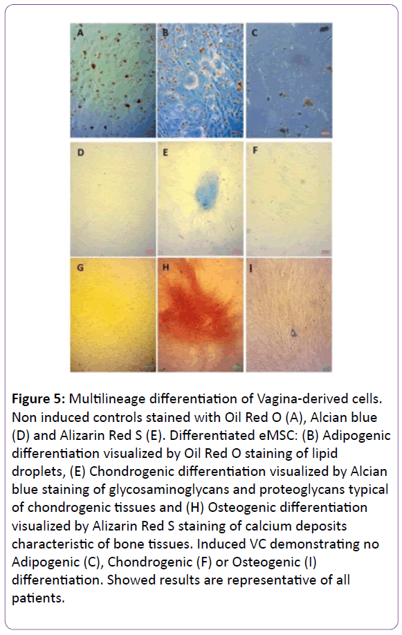 biomedical-sciences-Alizarin-Red