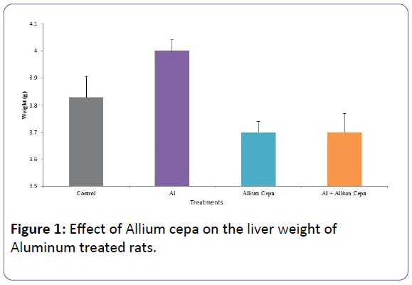 biomedical-sciences-Allium-cepa