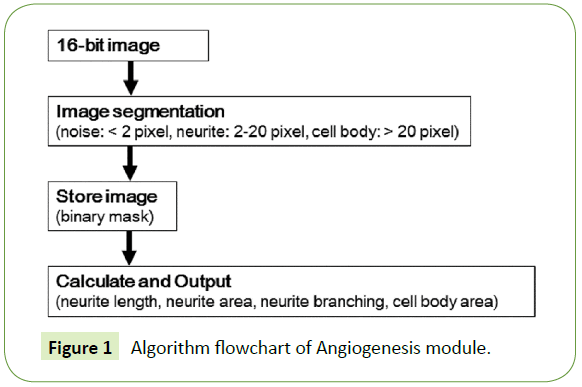 biomedical-sciences-Angiogenesis-module