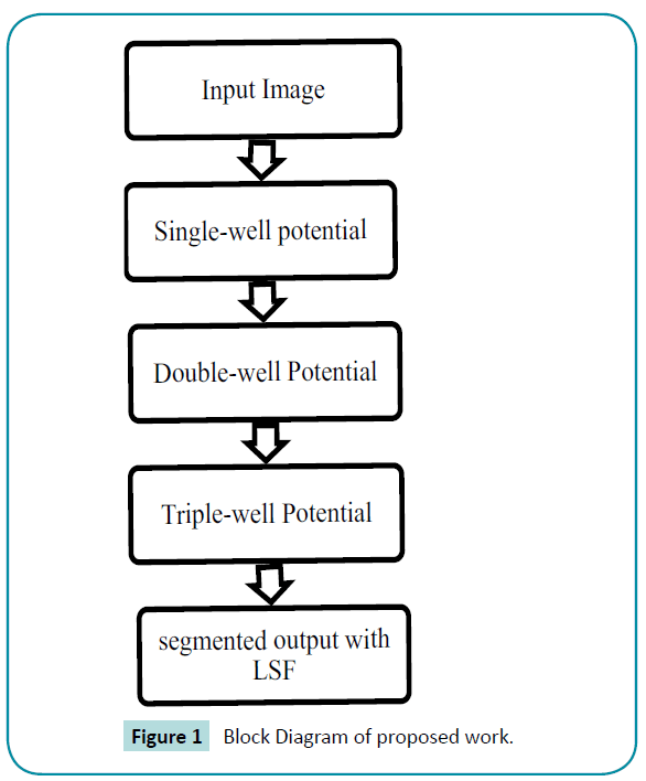 biomedical-sciences-Block-Diagram