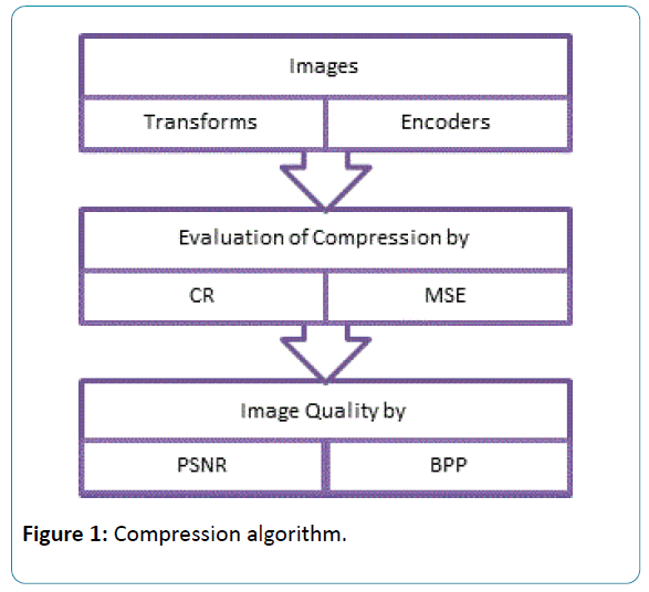 biomedical-sciences-Compression-algorithm