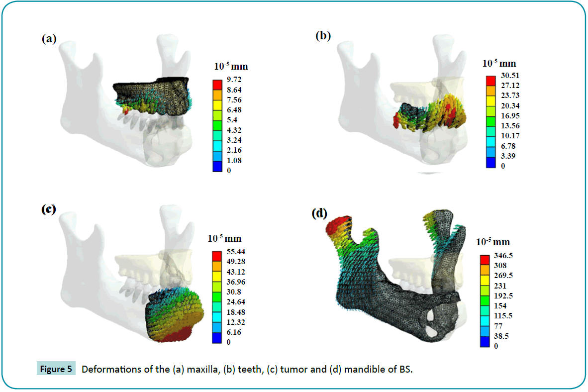 biomedical-sciences-Deformations