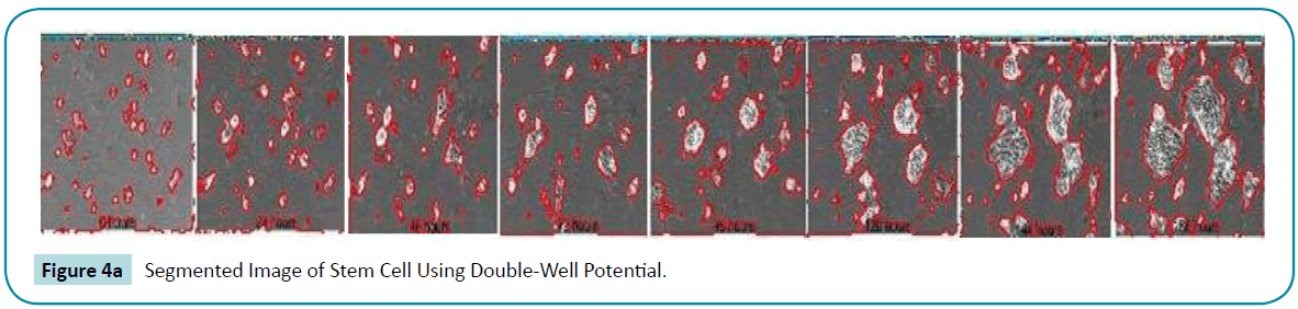 biomedical-sciences-Double-Well-Potential