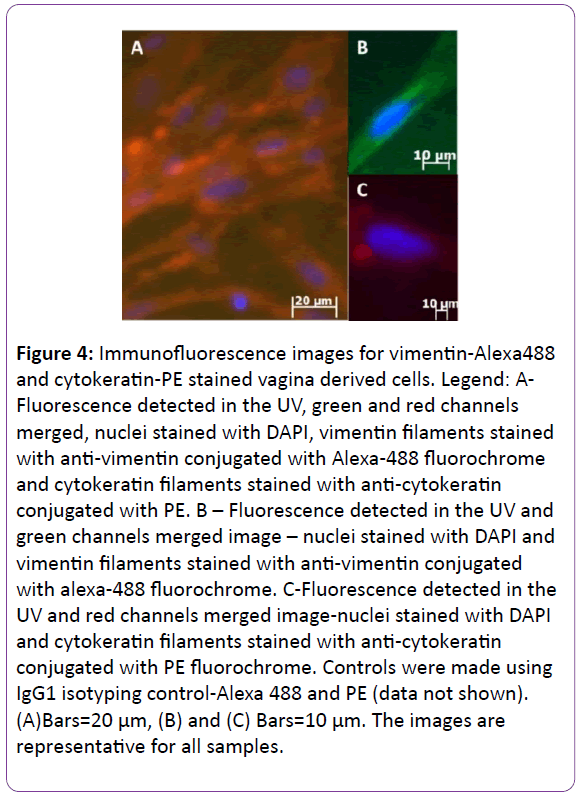 biomedical-sciences-Fluorescence-detected