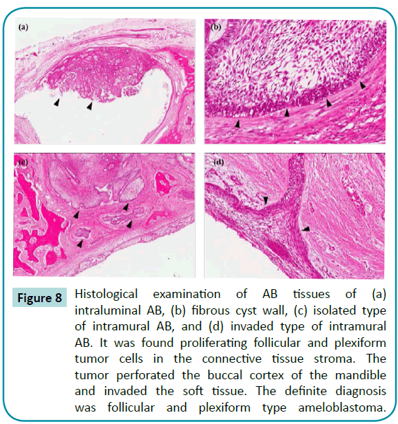 biomedical-sciences-Histological-examination