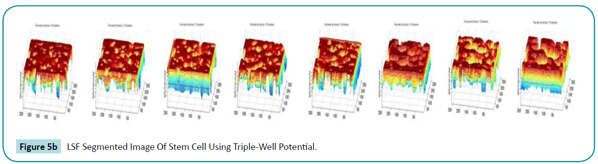 biomedical-sciences-LSF-Segmented