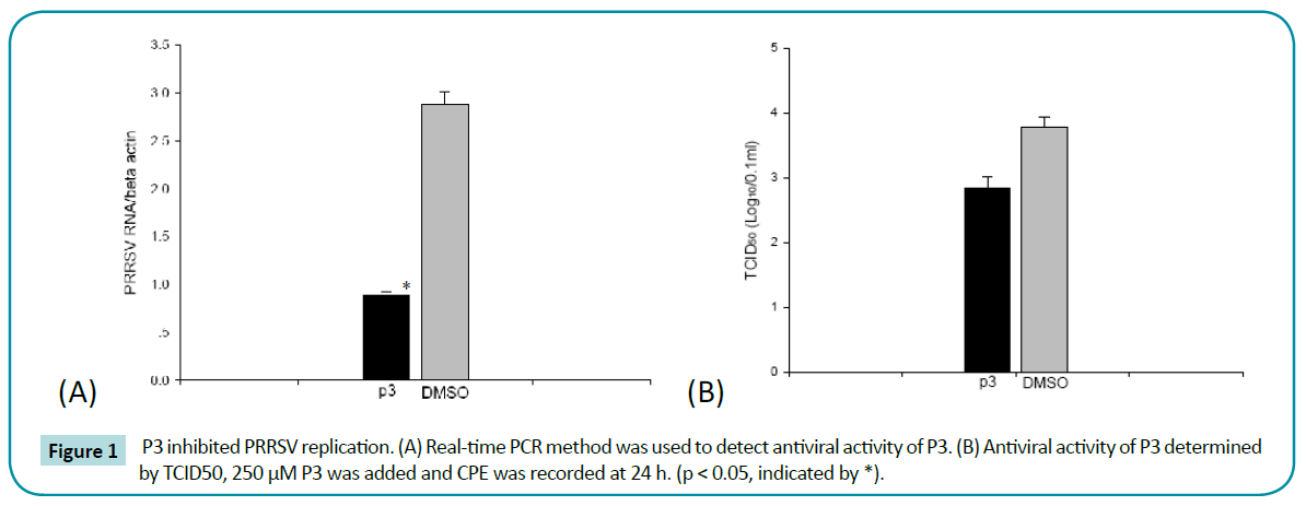 biomedical-sciences-PRRSV-replication