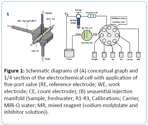 biomedical-sciences-Schematic-diagrams