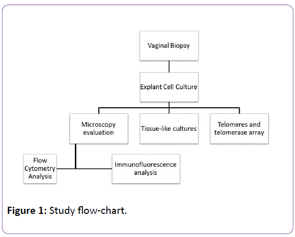 biomedical-sciences-Study-flow-chart