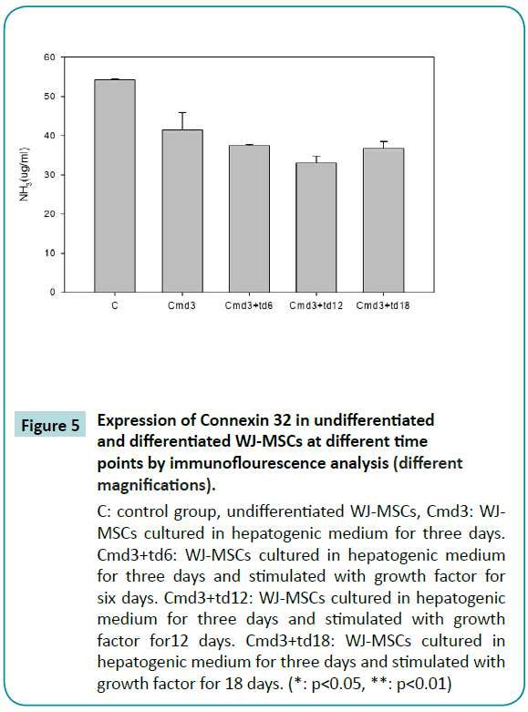 biomedical-sciences-WJ-MSCs