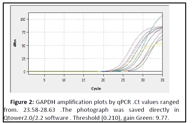 biomedical-sciences-amplification