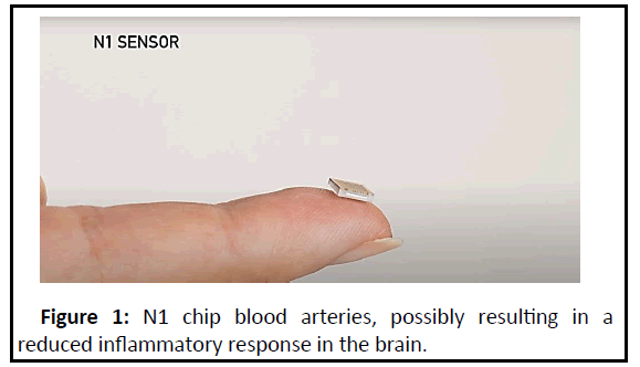 biomedical-sciences-arteries