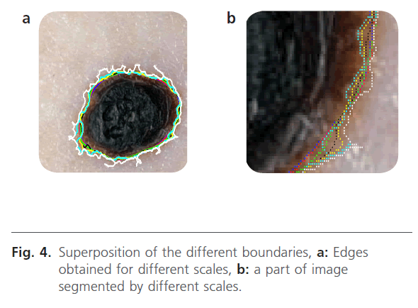 biomedical-sciences-different-boundaries