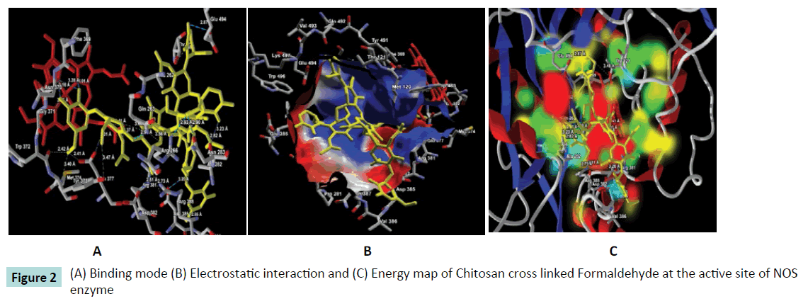 biomedical-sciences-electrostatic-interaction