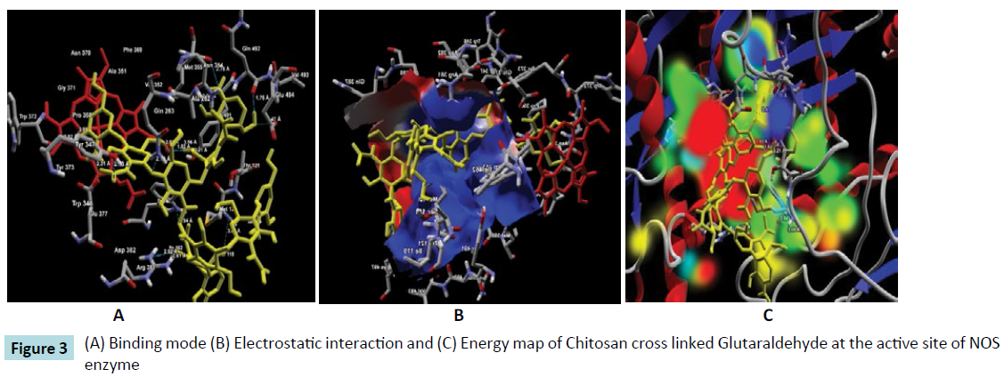 biomedical-sciences-electrostatic-interaction