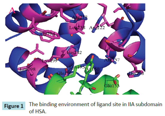 biomedical-sciences-environment-ligand