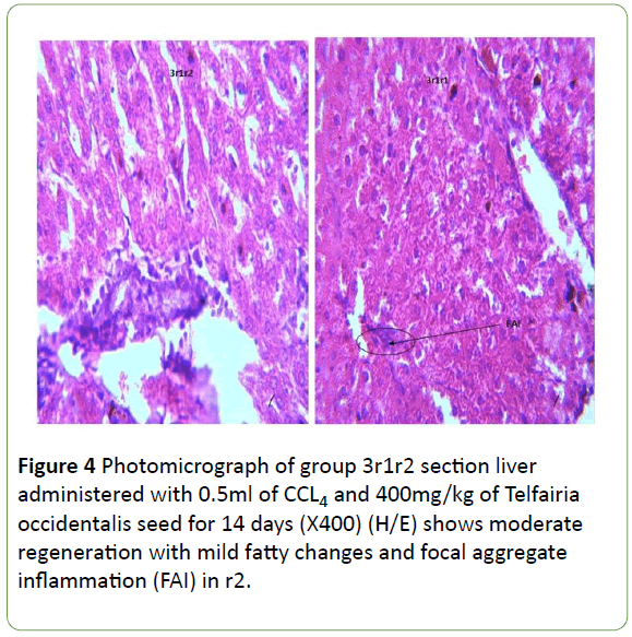 biomedical-sciences-focal-aggregate