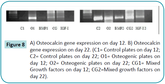 biomedical-sciences-gene-expression