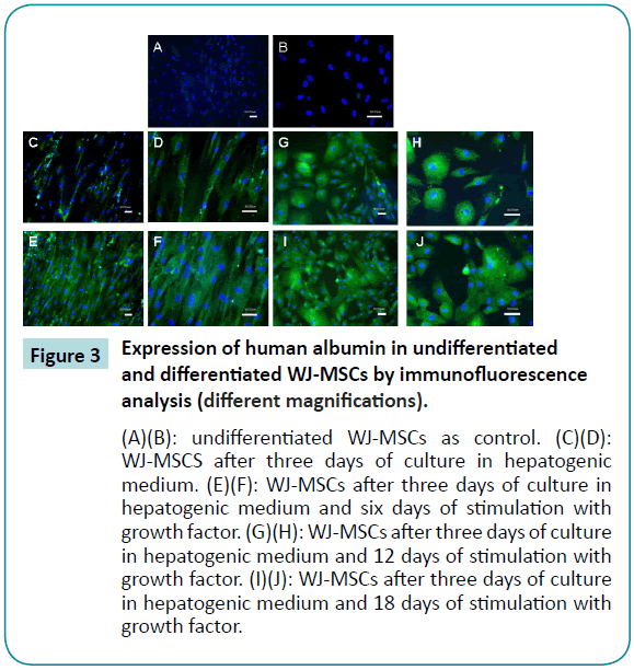 biomedical-sciences-human-albumin