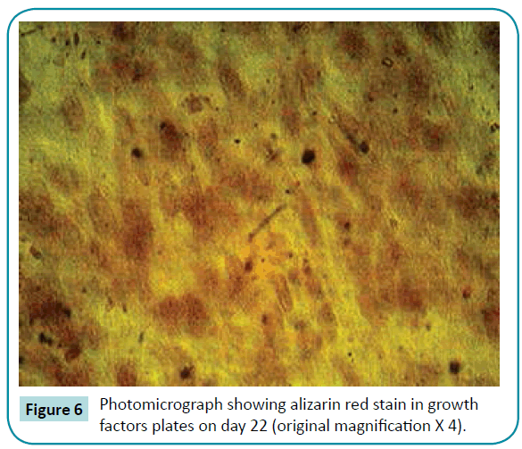 biomedical-sciences-magnification