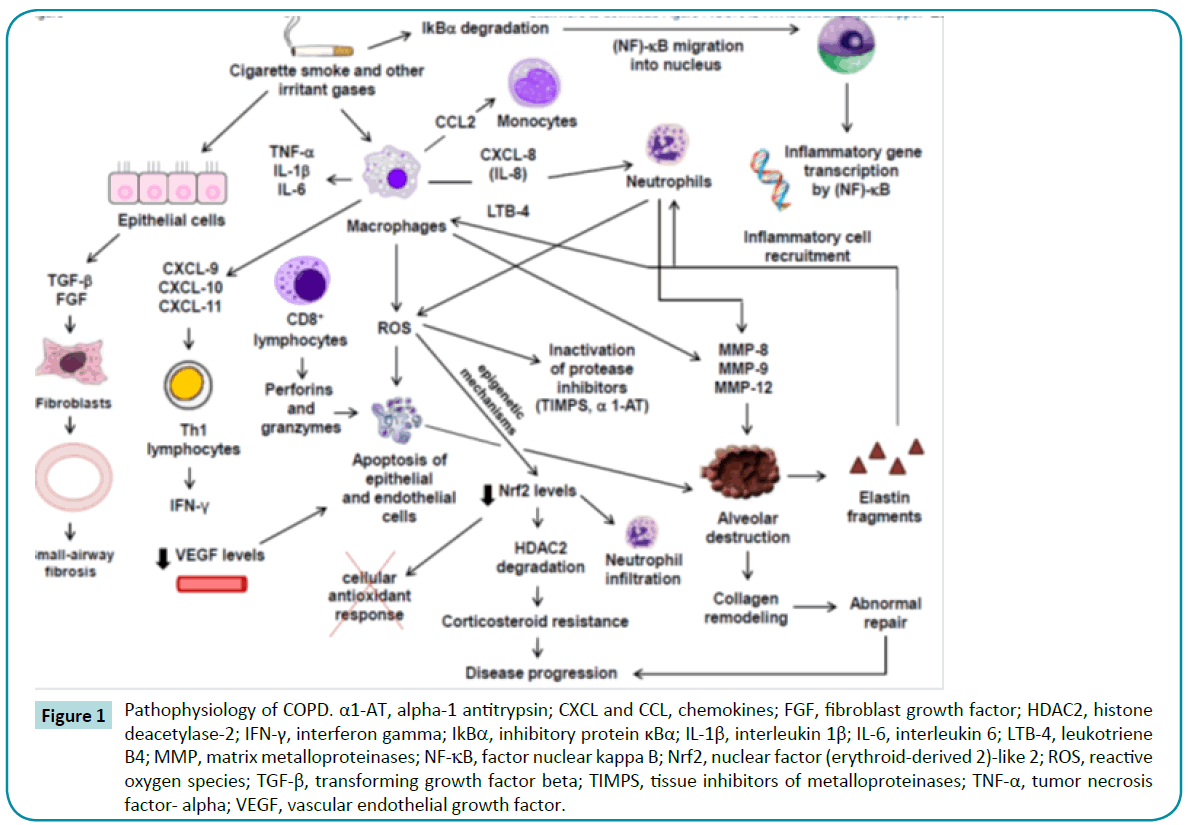 biomedical-sciences-matrix-metalloproteinases