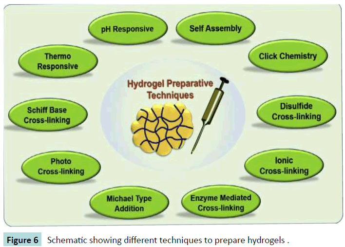 biomedical-sciences-prepare-hydrogels