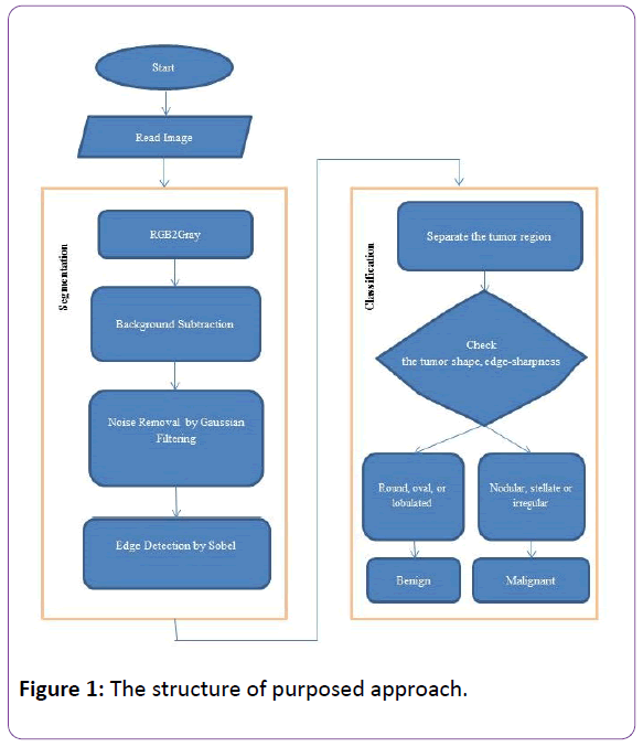 biomedical-sciences-purposed-approach