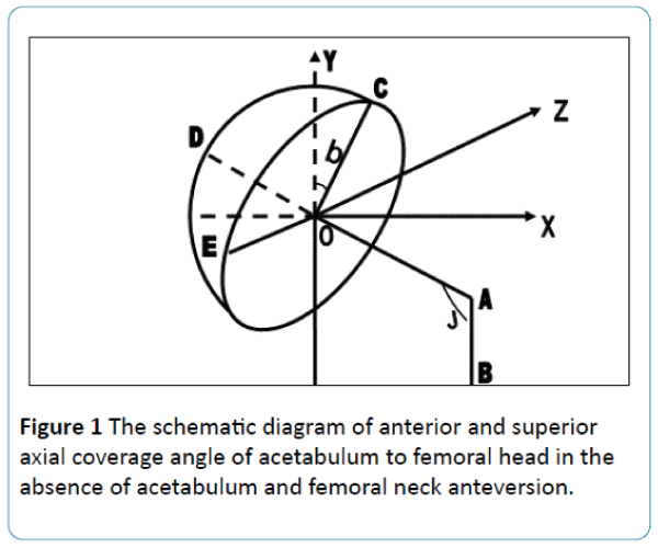 biomedical-sciences-schematic-diagram