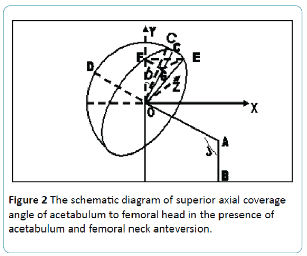 biomedical-sciences-schematic-diagram