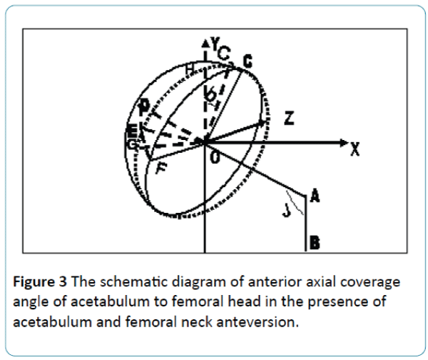 biomedical-sciences-schematic-diagram