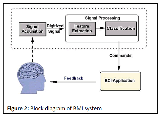 biomedical-sciences-system