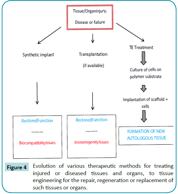 biomedical-sciences-therapeutic-methods