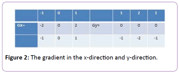 biomedical-sciences-x-direction-y-direction