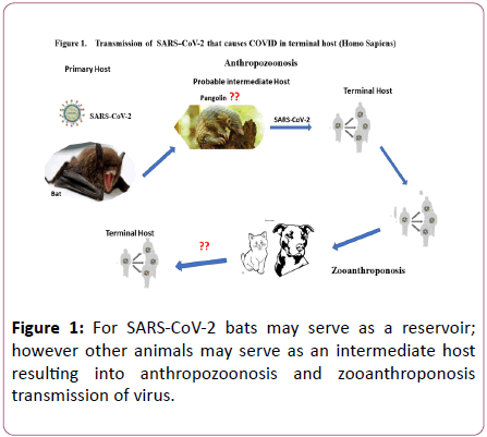 clinical-microbiology-transmission-virus