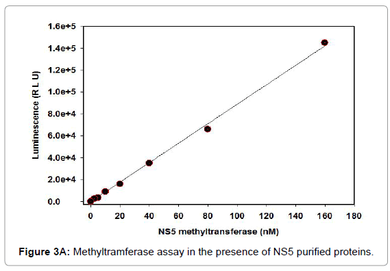 drug-development-research-Methyltramferase