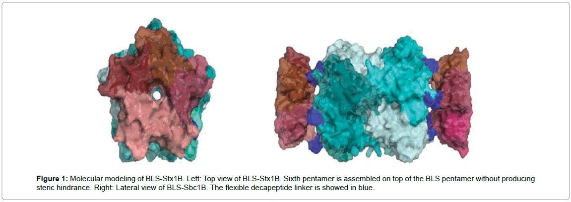 drug-development-research-Molecular-modeling